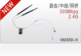 VM300-L/VM300-H